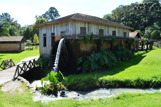 erva-mate bento goncalves