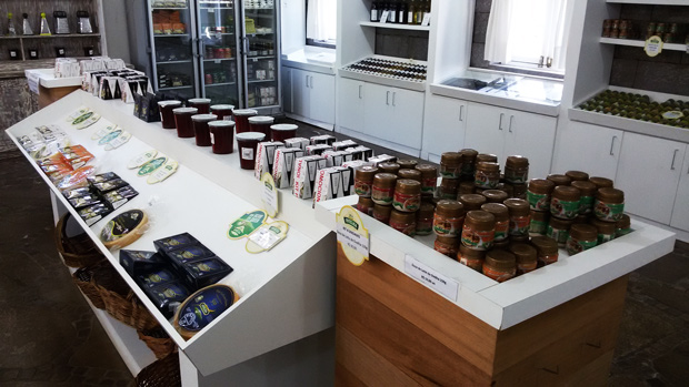 ovelhas bento goncalves