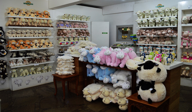 Casa ovelha em bento goncalves