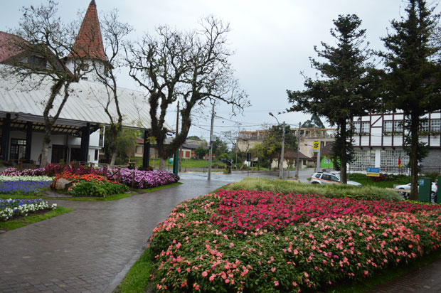 nova petropolis flores