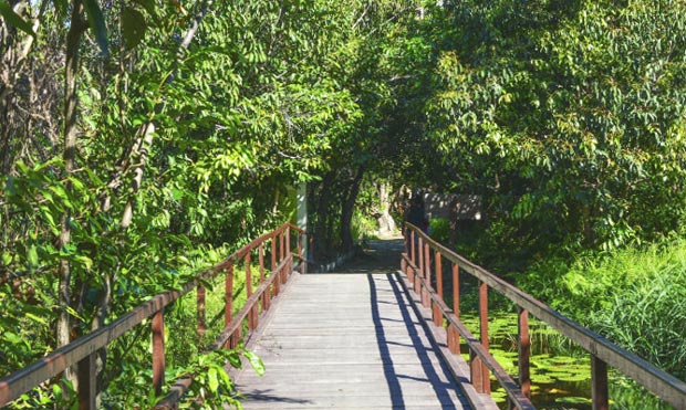 Parque do Coco fortaleza