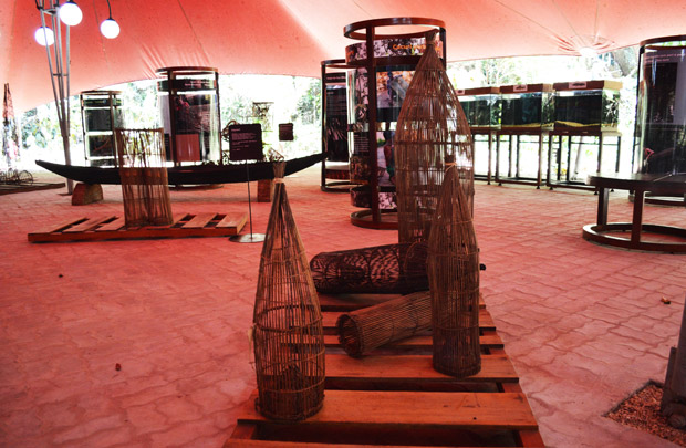 exposicao peixes musa