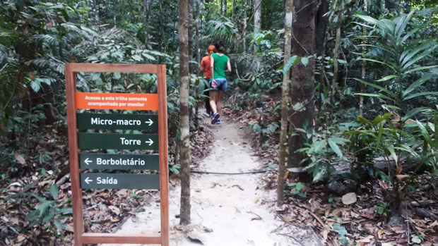 trilha floresta amazonica